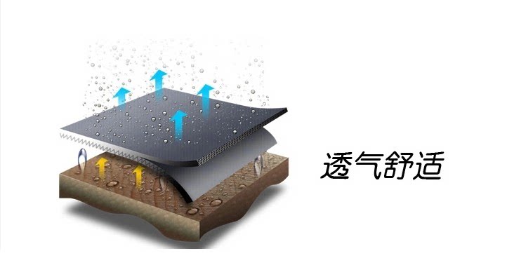 Protection sport - Ref 584610 Image 14