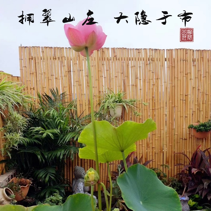 Bamboo fence anti-corrosion bamboo balcony fence flower bed fence Japanese courtyard outdoor partition homestay decorative bamboo pole