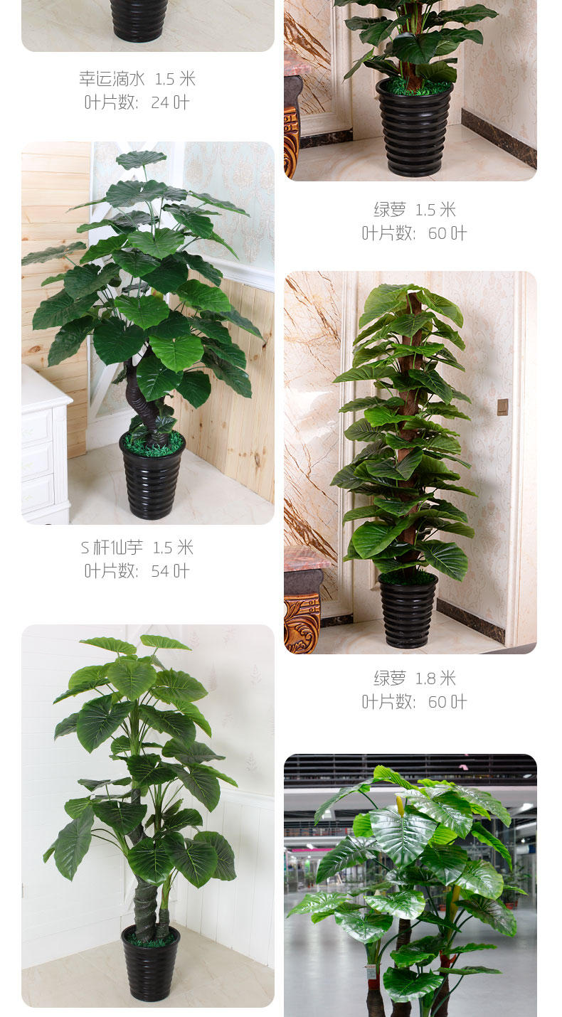Cây giả nhỏ giọt Guanyin mô phỏng cây xanh cây xanh chậu lớn phòng khách văn phòng hoa giả sàn trang trí hoa - Hoa nhân tạo / Cây / Trái cây cây đào giả