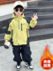 Boys' Autumn and Winter Style Padded Thickened Three-In-One Jacket 2025 New Winter Stylish Boys' Coat