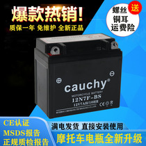 12N7F motorcycle battery 12V maintenance-free motorcycle straddle 150 battery Taihao Viscount 125 dry battery