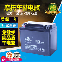 Motorcycle battery YTX12A spring wind 650NK400 Guangyang 250 rowing 300 battery 12V12AH battery