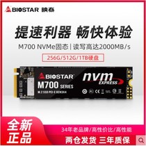 BIOSTAR Premiere M700 256g 512G Large capacity nvme high speed pcie read and write M 2 Solid hard disk