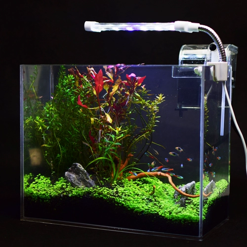 Настольная столешница, украшение для аквариума с беттой, украшение для квадратного стола, украшение для дома, настенное украшение, подвесное украшение, акриловая ваза, украшение для аквариума