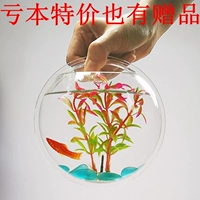 Сапфировый, 150mm