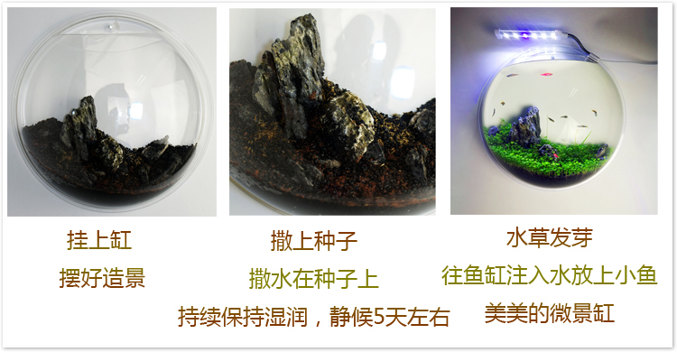Sáng tạo bình hoa hoa bình hoa đứng acrylic tường sticker cây xanh vườn hoa chậu hoa chuông vàng liễu mô phỏng chum sành trồng cây