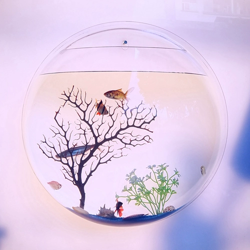 Настольная столешница, украшение для аквариума с беттой, украшение для квадратного стола, украшение для дома, настенное украшение, подвесное украшение, акриловая ваза, украшение для аквариума