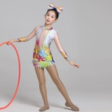 Профессиональная индивидуальная гимнастика соревновательная гимнастика