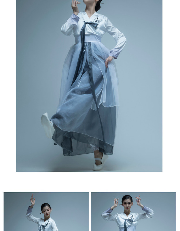 Classical Dance Chasing the Cloud Traces Korean Dance Skirt Korean Dance Performance Practice Elegant Super Fairy Dance Performance Clothing New Style