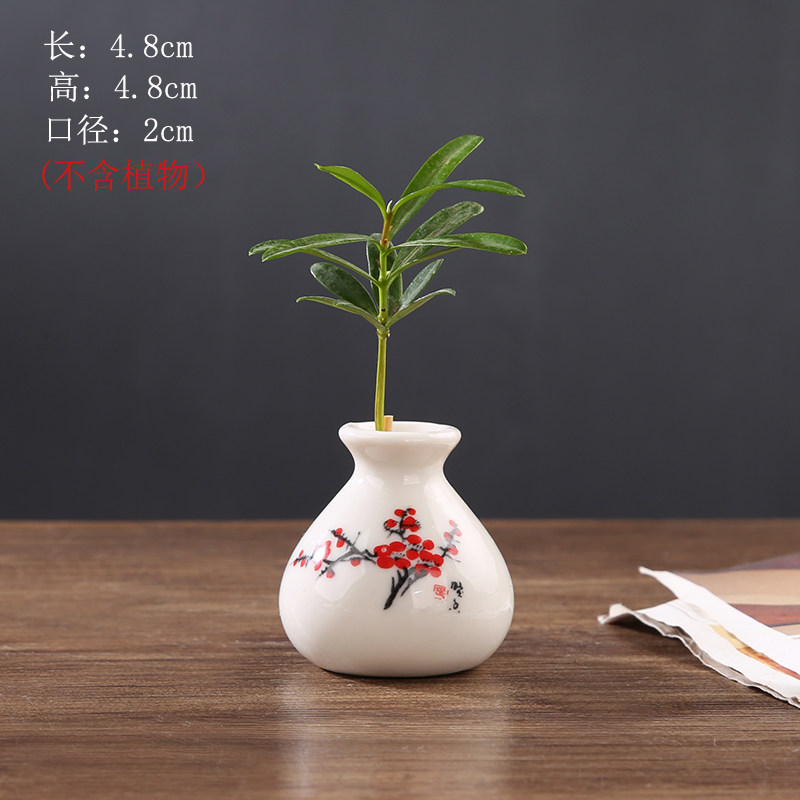 迷你指尖陶瓷小花瓶水培植物插花小花器水培銅錢草袖珍博古架擺件-淘寶