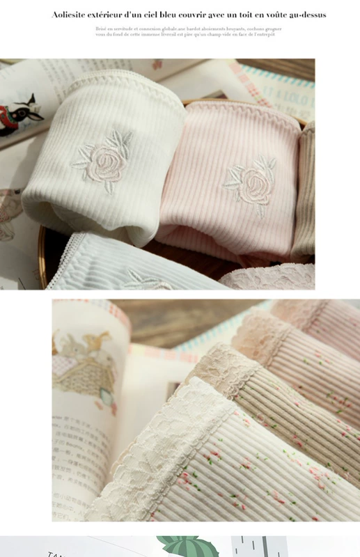 3 包邮 Nhật Bản tươi nhỏ cotton cao eo đồ lót cotton tóm tắt của phụ nữ với kích thước lớn DK69 quần lót calvin klein nữ chính hãng