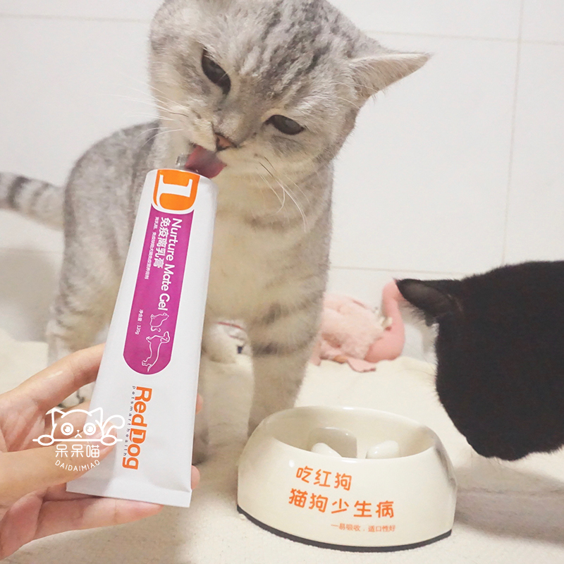 RedDog Red Dog Miễn dịch Kem 120g Hộp quà tặng Puppy Cat Dinh dưỡng Kem cải thiện dinh dưỡng miễn dịch - Cat / Dog Health bổ sung sữa cho chó poodle