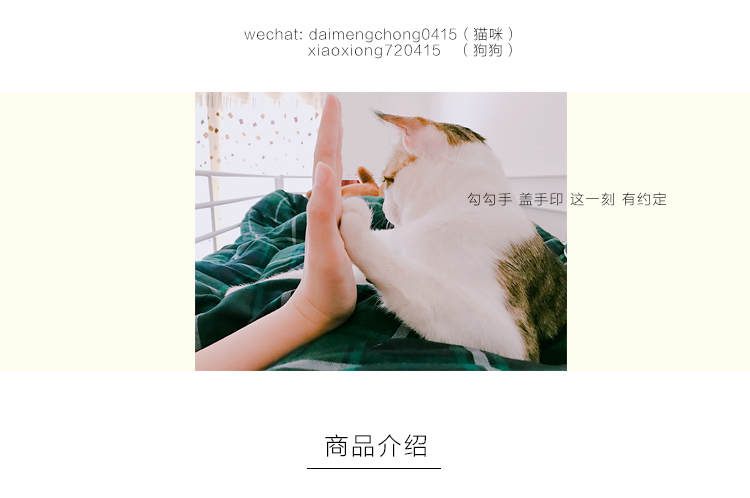 Ball World Dog and Cat Đồ chơi Âm thanh Đồ chơi Chuột nhỏ Mèo vui nhộn Bouncy Ball Đào tạo bộ đồ chơi cho chó