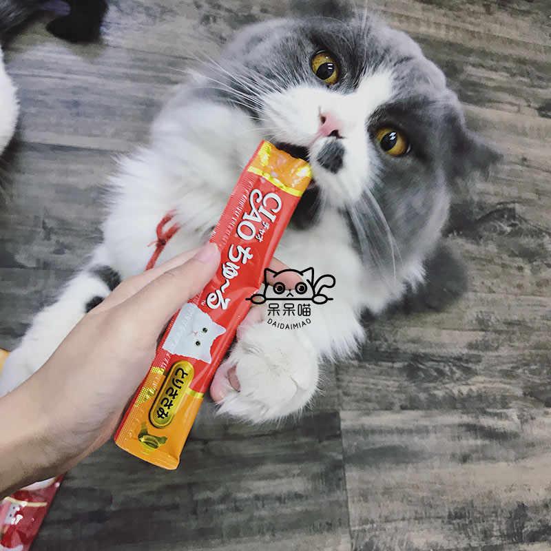 CIAO Inabao tuyệt vời tốt mèo ăn nhẹ mèo lỏng vào mèo nhỏ thức ăn ướt thịt bùn 14g * 4 - Đồ ăn nhẹ cho mèo Các loại pate cho mèo
