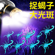 Scorpion lamp special purple super bright catch photo scorpion lamp white plus purple bald head wearing strong light flashlight Scorpion head lamp