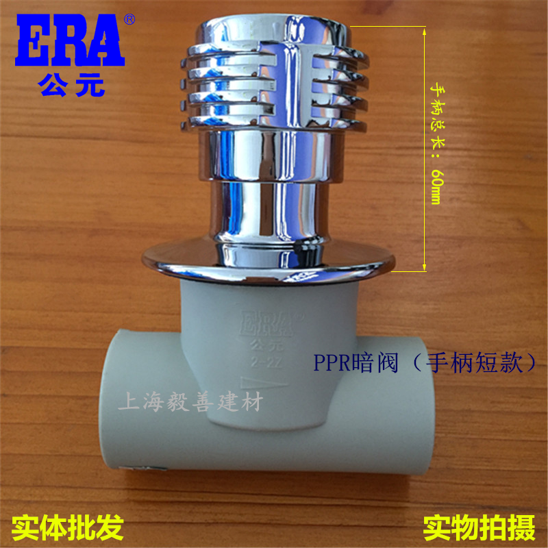 AD ppr grey 4 6 points 20PPR Water pipe fittings lengthened grey Dark Valve Valve Total switch 20 25