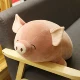 Đồ chơi sang trọng PP Cotton Doll Gối Đồ chơi bằng vải sang trọng Fart Peach Creative Pig Children Doll