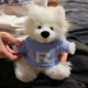 Hong Kong Sc Handmade DIY Samoyed Dog Plush Toy Plush Doll Homemade Cartoon Cute Birthday Gift