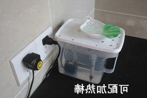 自制宠物电动饮水机猫咪狗狗自动循环饮水机饮