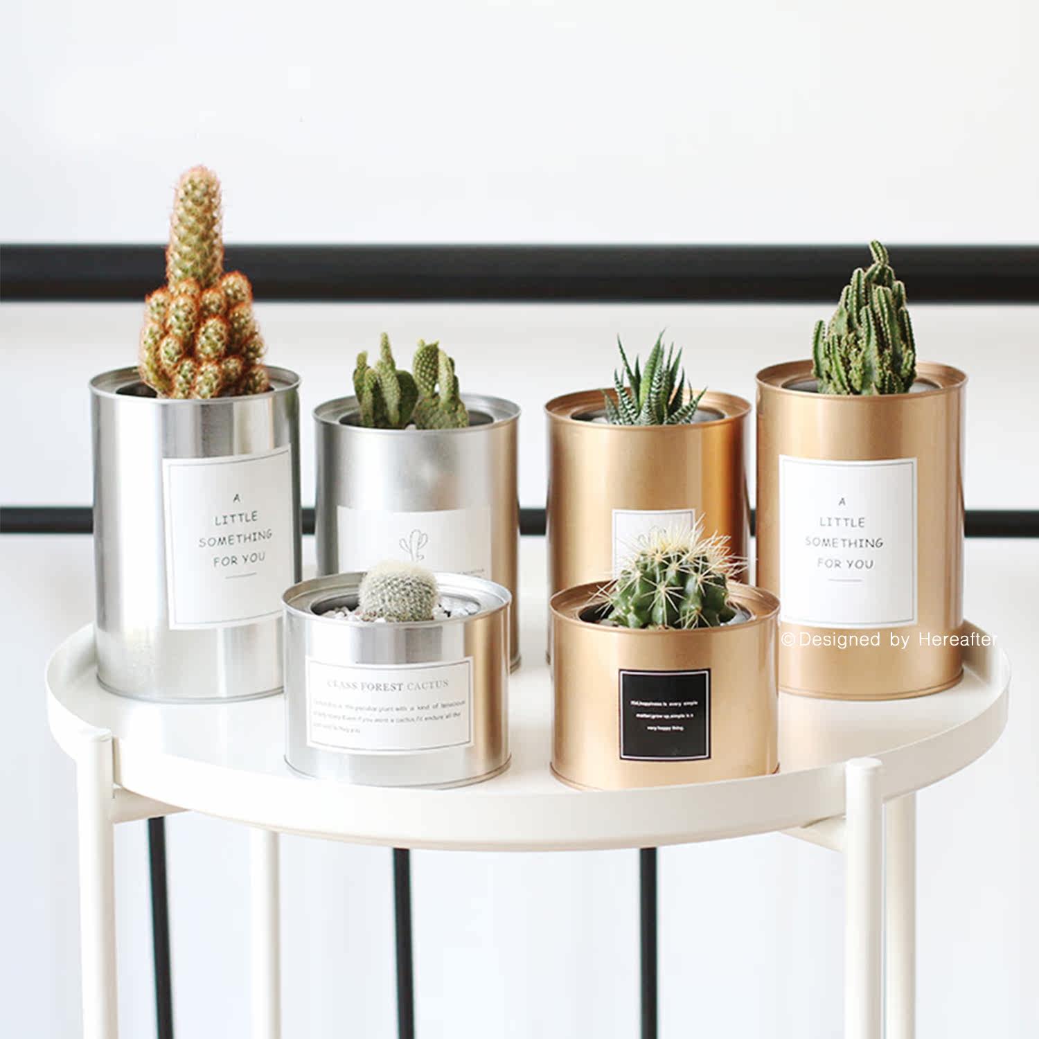 ins metal industrial style chic succulent cactus tin pot flower pot flower pot potted bedroom study home desktop - Taobao