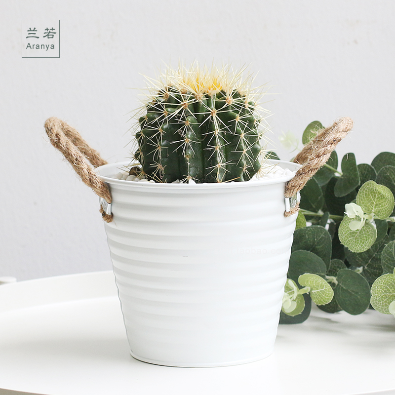 Minima hemp rope double ear Tin multi-meat flower pot Tin Barrel Floral creative pendulum Iron Art Flower Pot Dried Flower flowers Bucket