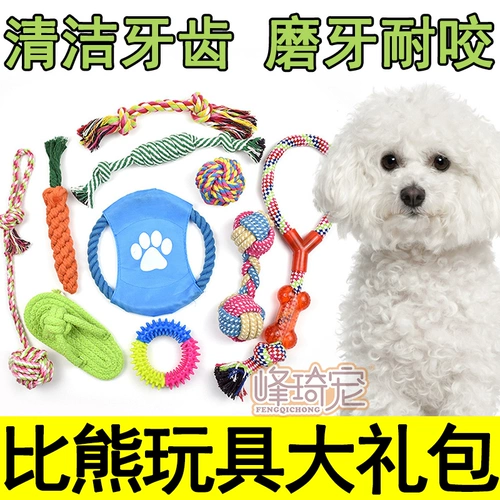 Большой медведь посвященный веревку с мячом для игрушек, положив зуб жира и вымол на собак в одиночку. Укушенные маленькие собаки