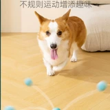 Автоматическая собака ходьба для игрушек Ball Dog, Self -relief поставляет электрические дразнящие артефакты Собаки, укус, потребление энергии