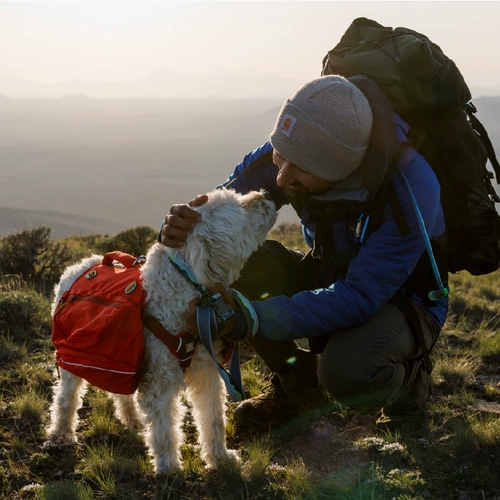 拉夫威尔 Clarg Dog воротник ex тяга RW Dog Seck, большие, собаки среднего размера, ходячая собачья веревка