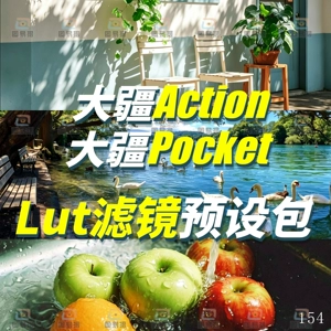 DJI lut filter DJI mimo предустановленная коррекция цвета action4/5/6 Pocket3 насыщенный пейзаж портретная пленка