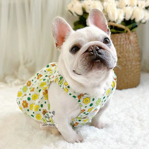 Французская одежда летняя тонкая юбка для собачьей жилетку для тыквы