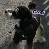 Куртка для собак, осенне-зимняя плюшевая плюшевая одежда для домашних животных, бишон шнауцера, непромокаемая теплая одежда