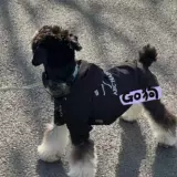 Куртка для собак, осенне-зимняя плюшевая плюшевая одежда для домашних животных, бишон шнауцера, непромокаемая теплая одежда