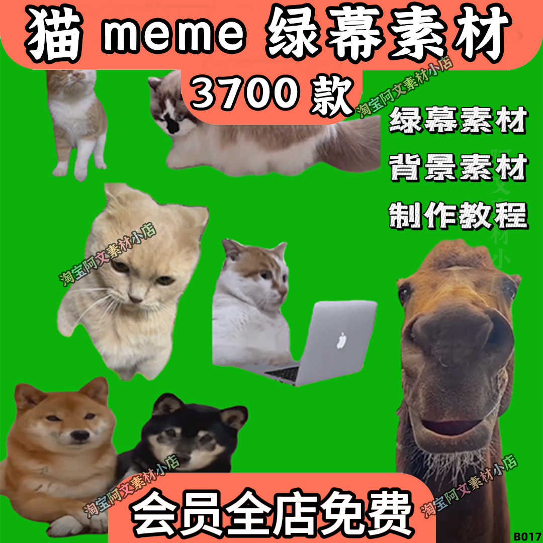 b站特效- Top 100件b站特效- 2025年12月更新- Taobao