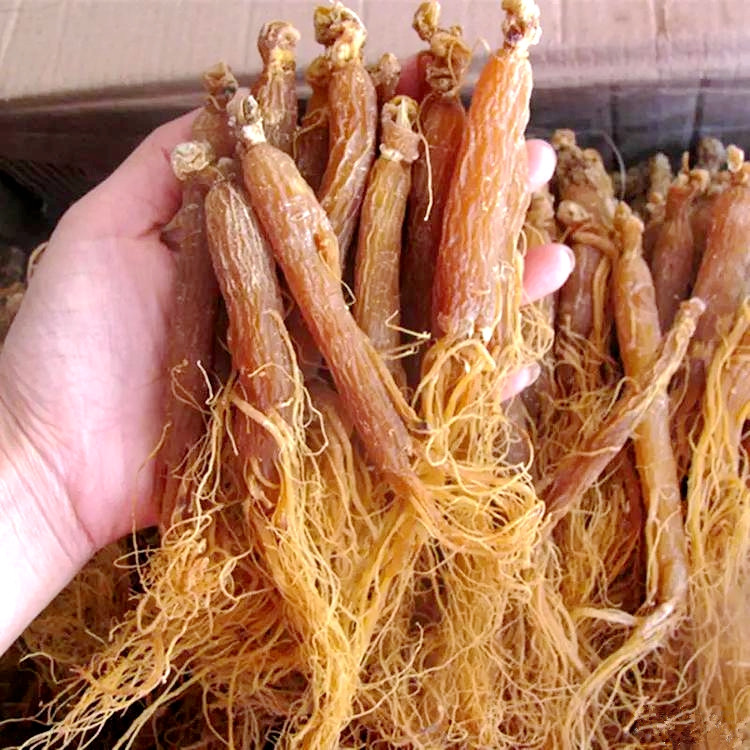 Red ginseng Chinese herbal medicine 8 years roots Gao Li ginseng red ginseng 500g red ginseng powder Changbai Mountain red ginseng required-Taobao