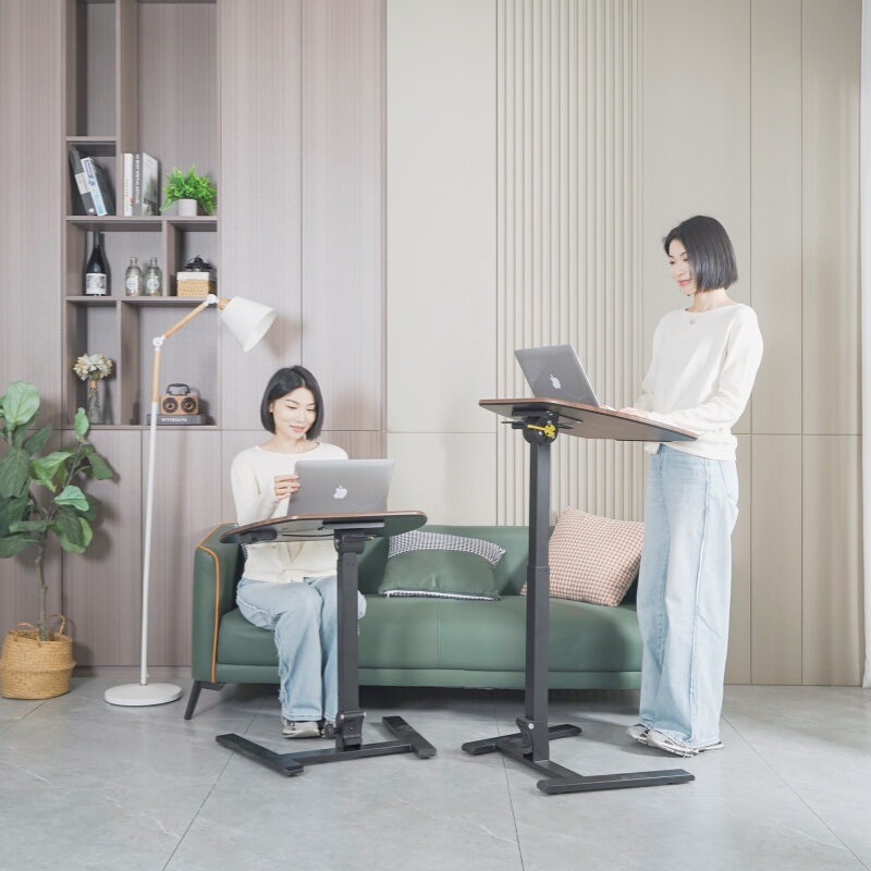 Frankwood Standing Foldableing Mobile Lifting Computer Table Bedside Sofa Side Table Home Study Workbench