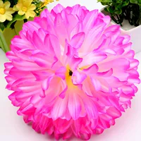 Chrysanthemum Swallow Red (20 см. Внешняя классика)