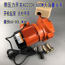 600W high power DC12V24V 220V oil pump diesel pump oil pump start pump turn off gun pump flow stop