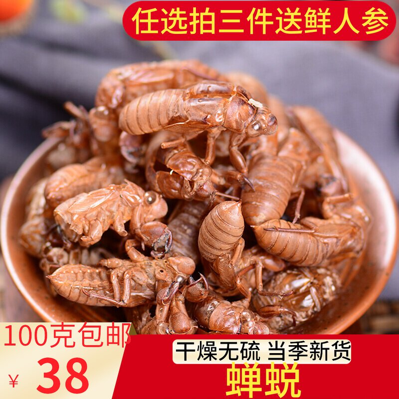 Chinese herbal medicine cicadas dabbed with skin 100g cicadas cicadas demetamorphosed with monkey shell golden cicadas