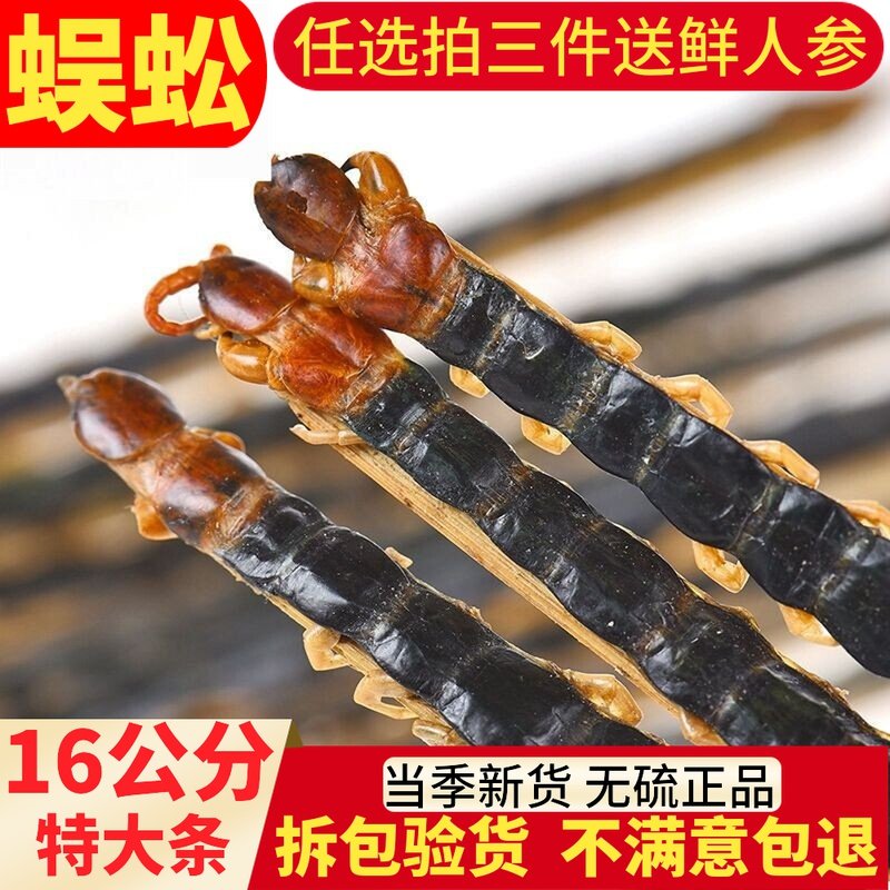 Chinese medicine is not spliced 16 cm whole Hubei centipede dry 10 dry dry dry dry dry of scorpion