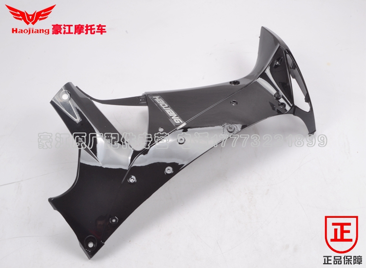 Phụ kiện xe máy nguyên bản Haojiang HJ110-13-3 Kính chắn gió bên trong da báo châu Á kết nối tấm trang trí tấm bên trái và bên phải - Kính chắn gió trước xe gắn máy kính chắn gió xe máy wave rsx