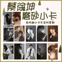 Idol TRAINEE NINEPERCENT CAI XU KUN FROSTED SMALL CARD MULTI-VERSION CAN BE CUSTOMIZED