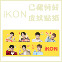 iKON Kim Ji-won Bobby Kim Han-bin B I Kim Jin-Hwan Yun Hyung Joon-hui Exclusive skin pattern stickers have been cut