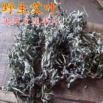 Natural wild wormwood leaf foot herbal wormwood leaf foot bath bulk