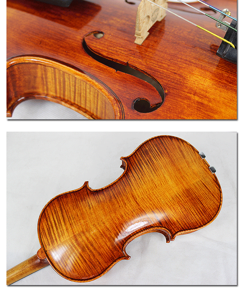 SV250 Описание_10.GIF