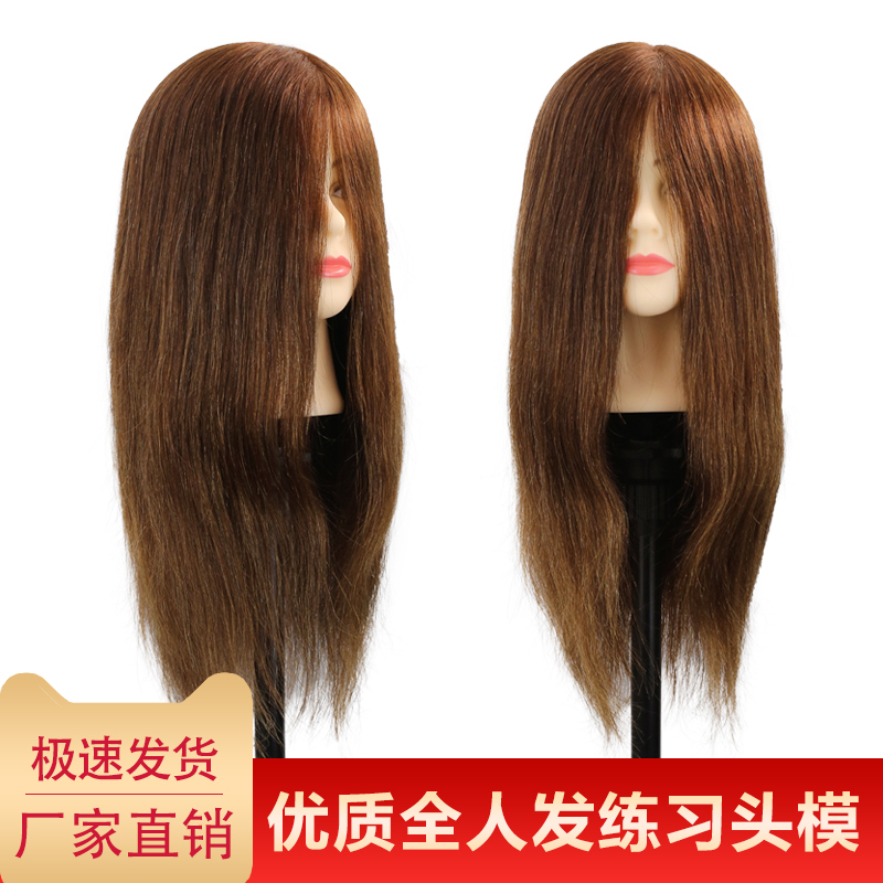 Hairdressing Mannequin with Real Hair for Apprentice Practice, Haircut Practice Head Model, Special for Hairdressing, Can Be Permed and Dyed, Dummy Head