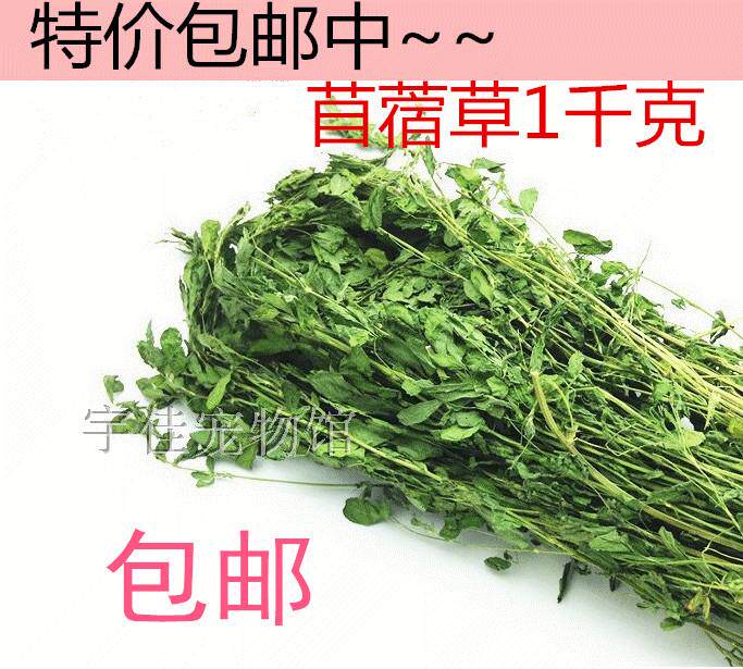 Purple Flower Clover Grass Rabbit Grass Dragon Cat Dutch Pig Herd Hay Hay Heavy 1000 grams of national multi-province-Taobao