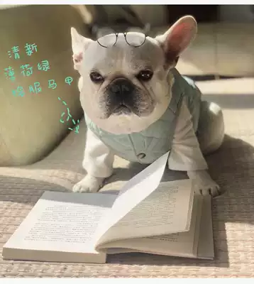 French fight cotton clothing Pago cotton clothing bullfighting cotton jacket thickened winter cotton clothing large size fat dog cotton clothing vest 