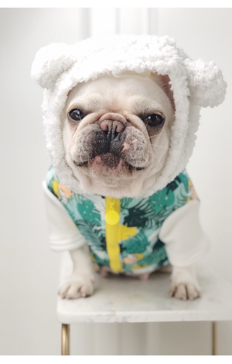 Fadou padded clothes Pug padded jacket bullfighting padded clothes dog padded clothes thickened autumn and winter warm fat dog clothes