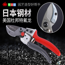 Imported Japanese fruit trees Scissors Branches Cut Flowers Branches Scissors Cut Branches Cut Branches Garden Pruner Garden pruner Pruning Scissors