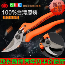 Taiwan Zookawa Fields 806 Fruits Branches Cutting Branches Gardening Fruit Branches Scissors Branches Fruit Tree Scissors Flowers Branches Garden Scissors